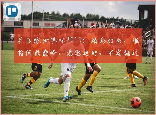 乒乓球世界杯2019：精彩对决，谁将问鼎巅峰，悬念迭起，不容错过