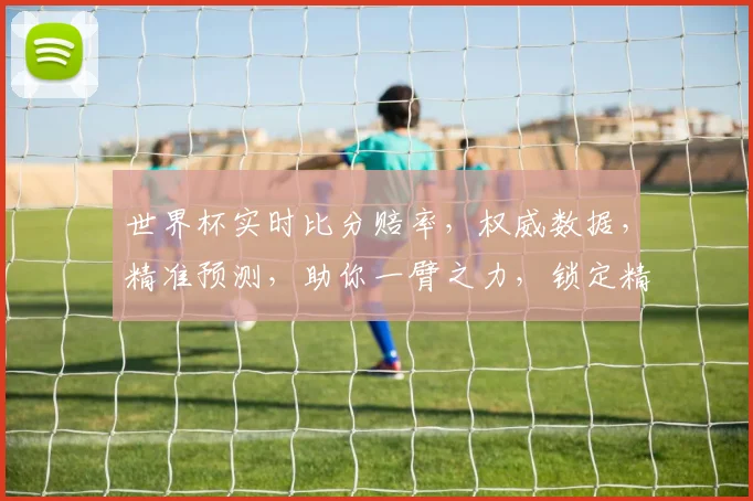 世界杯实时比分赔率，权威数据，精准预测，助你一臂之力，锁定精彩瞬间