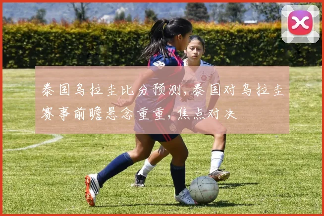 泰国乌拉圭比分预测,泰国对乌拉圭赛事前瞻悬念重重,焦点对决