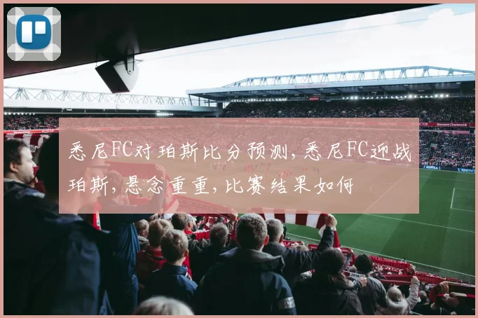 悉尼FC对珀斯比分预测,悉尼FC迎战珀斯,悬念重重,比赛结果如何